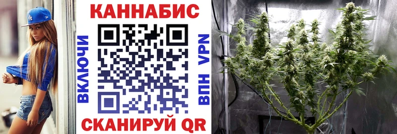 Шишки марихуана семена  где продают наркотики  Шали 